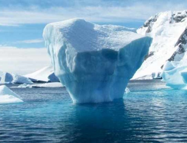 Bilim insanlarından korkutan açıklama! 50 yil içinde yok olacak